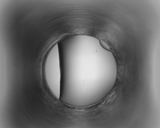 X0000092300194200709141004