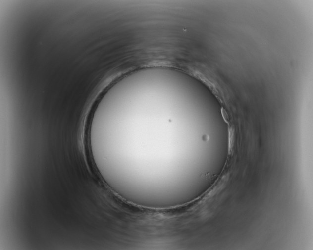 X0000092300195200709141004