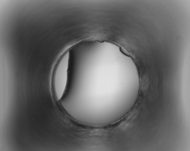 X0000092300196200709141004