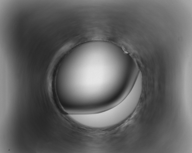 X0000092300197200709141004