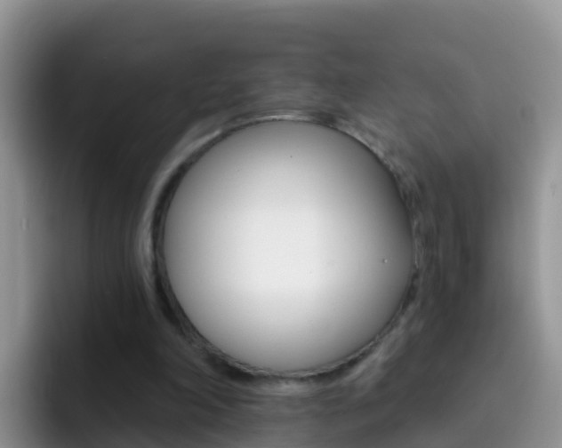 X0000092300198200709141004