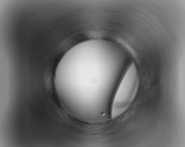 X0000092300209200709141004