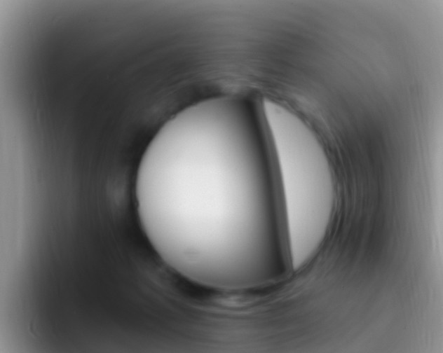 X0000092300221200709141004
