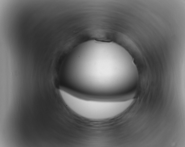 X0000092300229200709141004