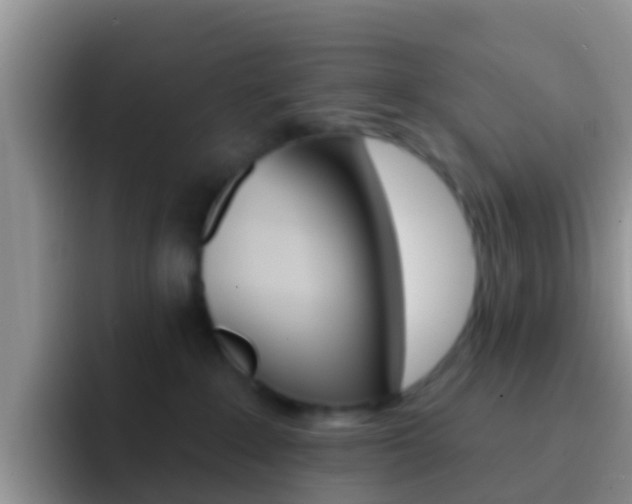 X0000092300235200709141004