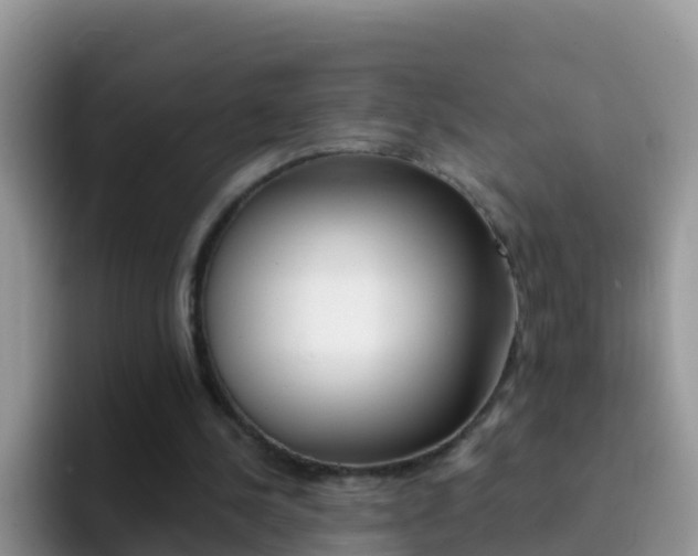 X0000092300244200709141003