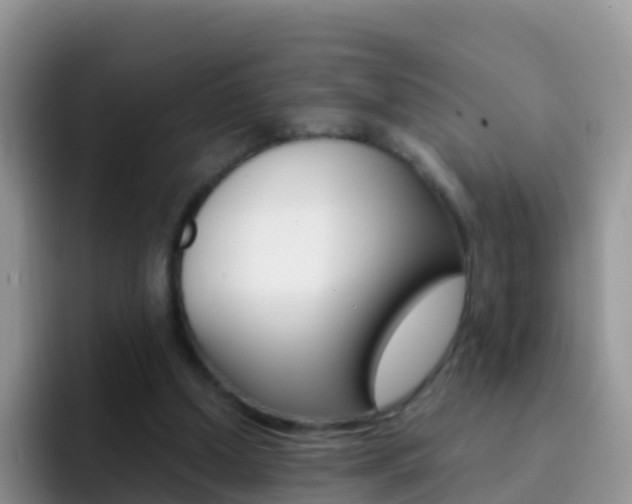 X0000092300250200709141003