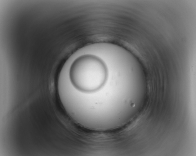 X0000092300254200709141003