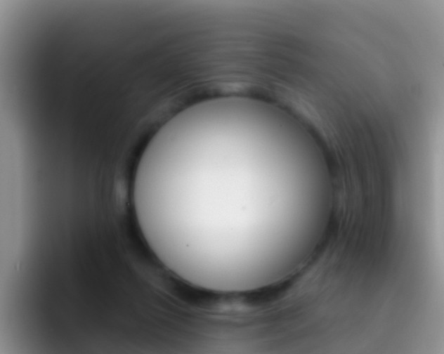 X0000092300262200709141004
