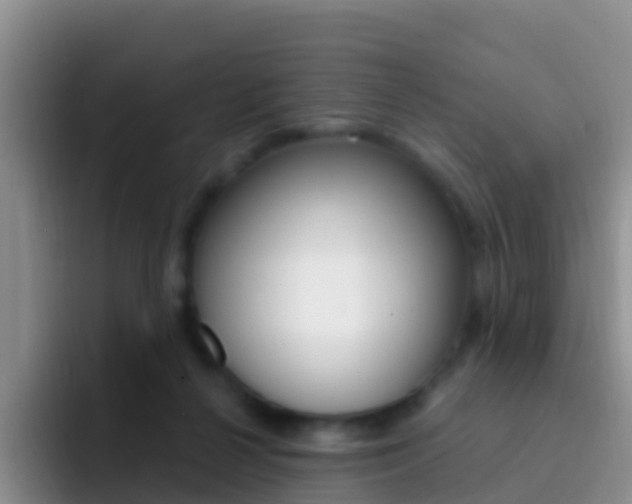 X0000092300264200709141004