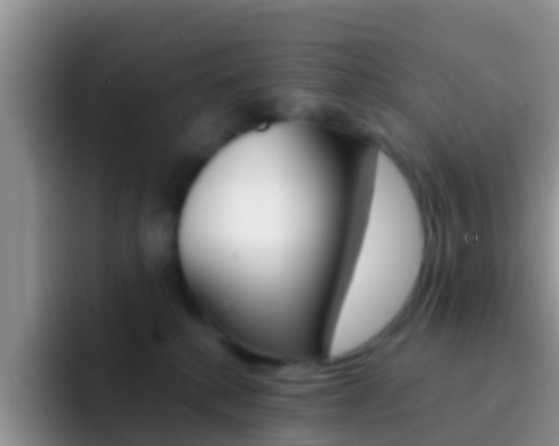 X0000092300280200709141004