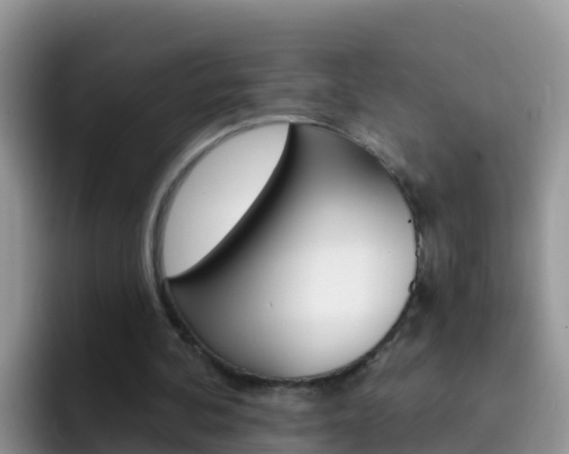 X0000092300292200709141003