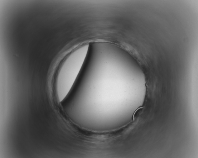 X0000092300295200709141003