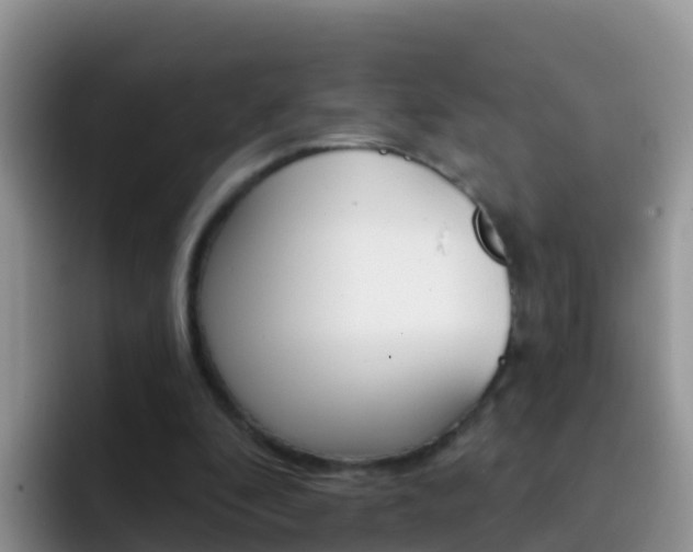 X0000092300296200709141003