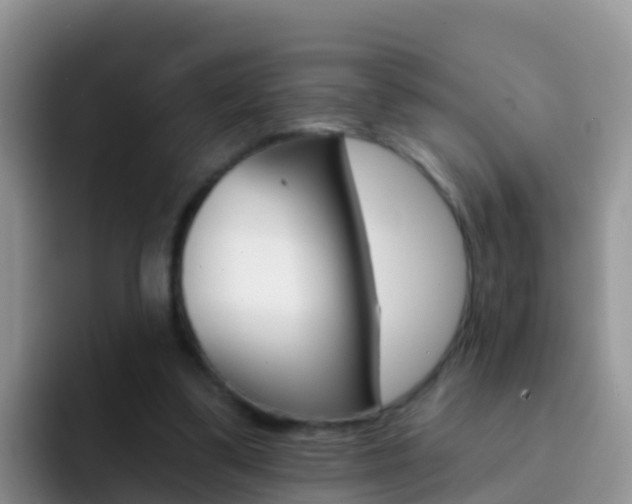 X0000092300299200709141003