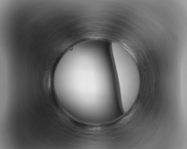 X0000092300301200709141003