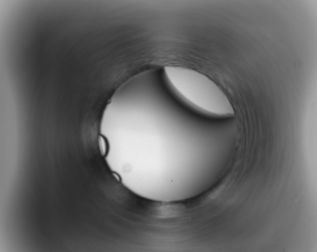 X0000092300336200709141003