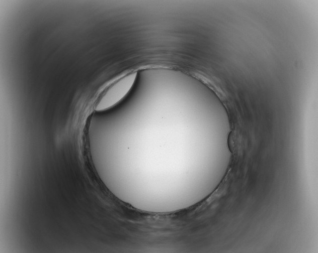 X0000092300338200709141002