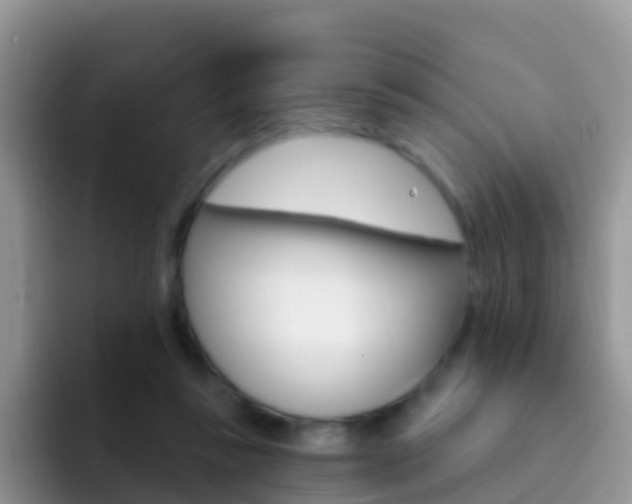 X0000092300355200709141002