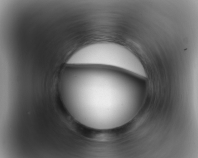 X0000092300364200709141003