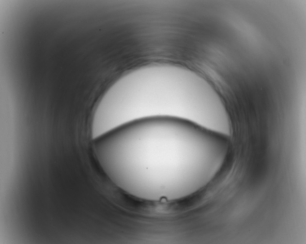 X0000092300365200709141003