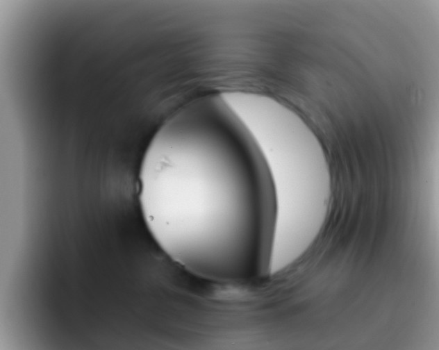 X0000092300380200709141003