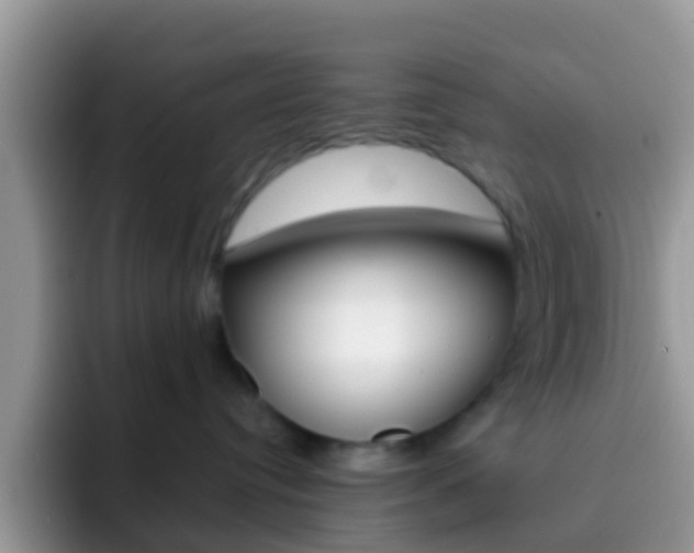 X0000092300384200709141003