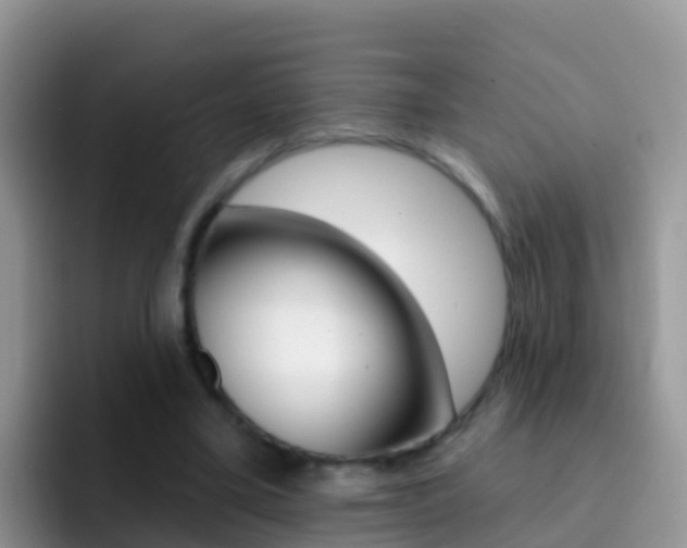 X0000092300395200709141002