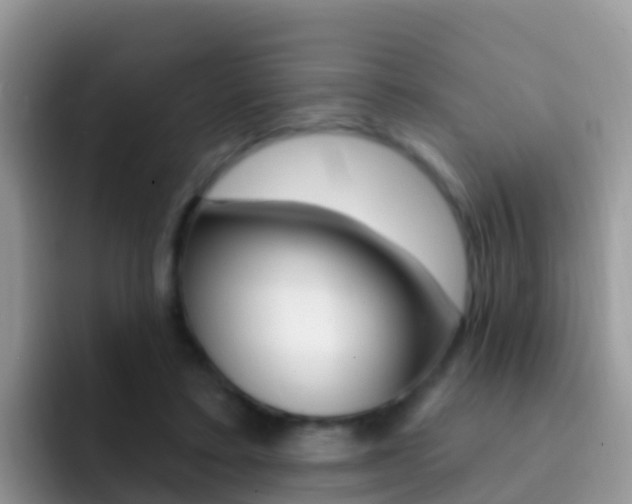 X0000092300403200709141002