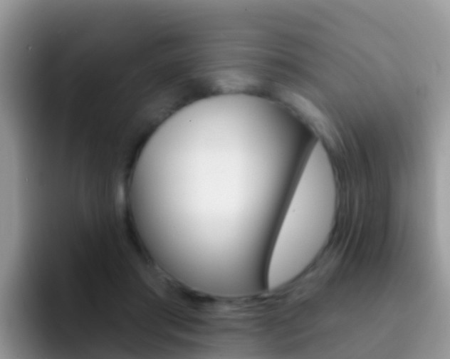 X0000092300405200709141002