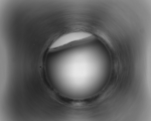 X0000092300407200709141002