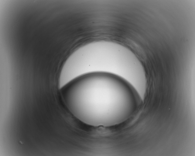 X0000092300421200709141002