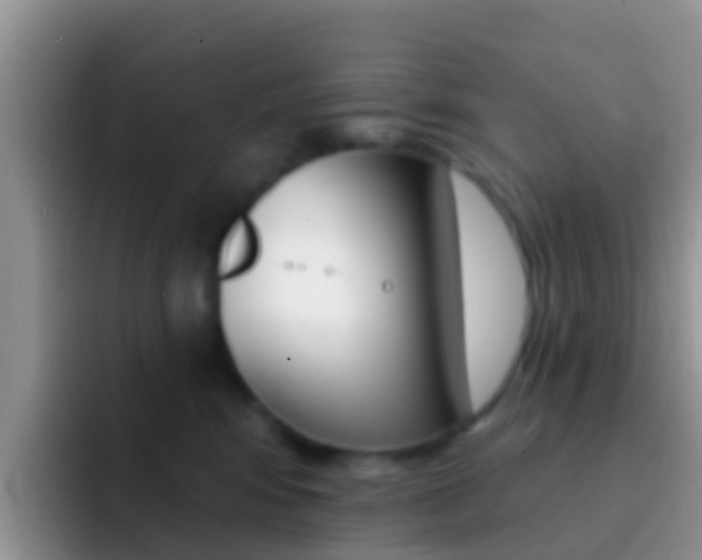 X0000092300424200709141002