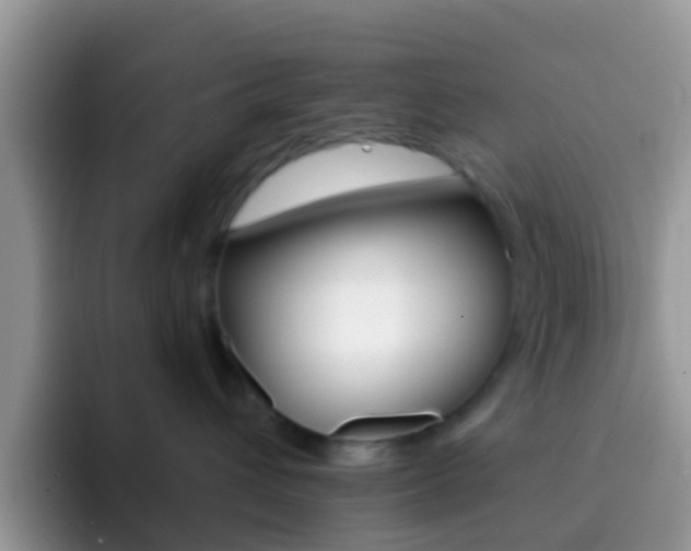 X0000092300432200709141002