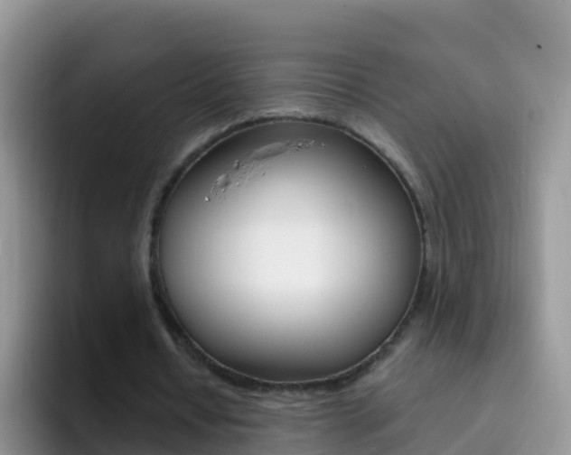 X0000092300434200709141001