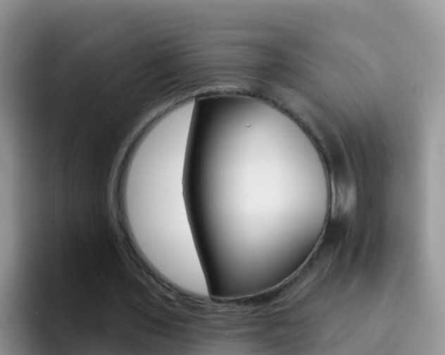 X0000092300435200709141001