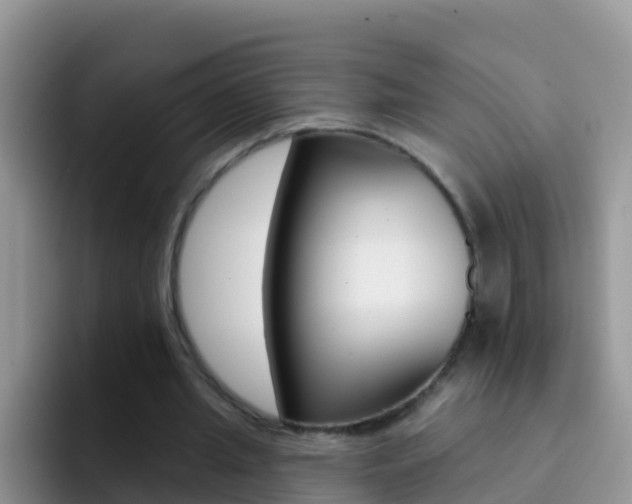 X0000092300437200709141001