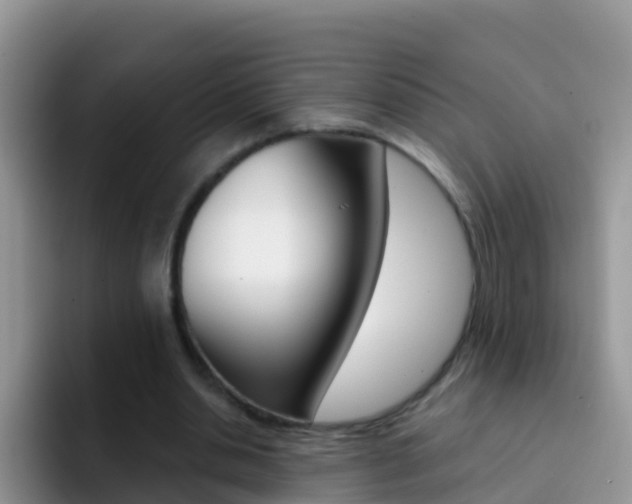 X0000092300438200709141001