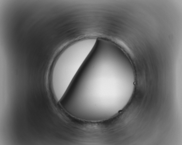 X0000092300439200709141001