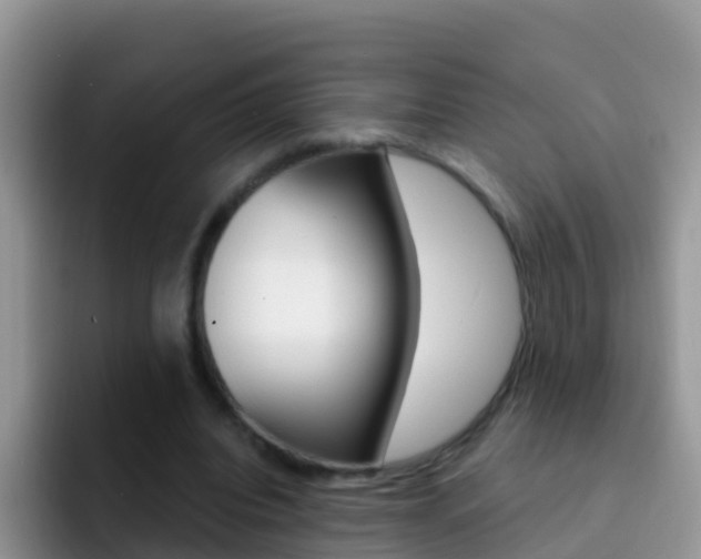 X0000092300440200709141001