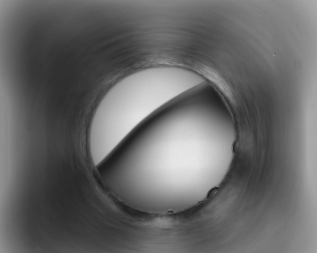 X0000092300441200709141001