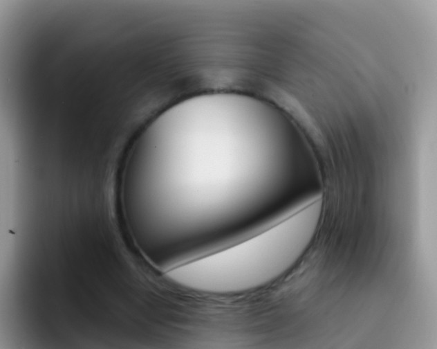 X0000092300442200709141001