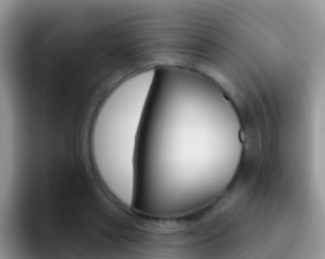 X0000092300445200709141001