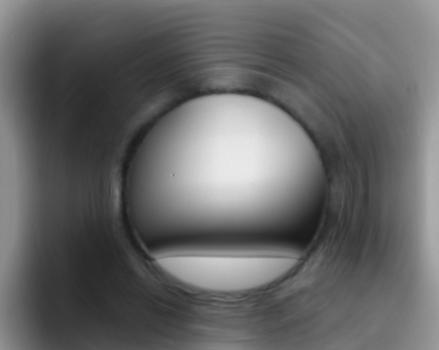 X0000092300446200709141001