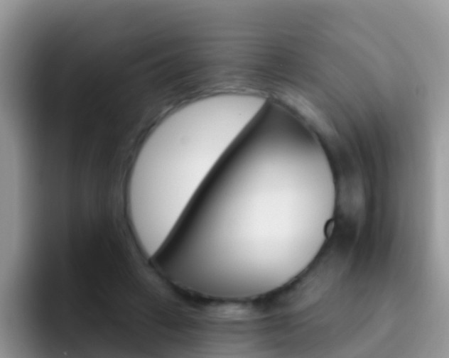 X0000092300449200709141001