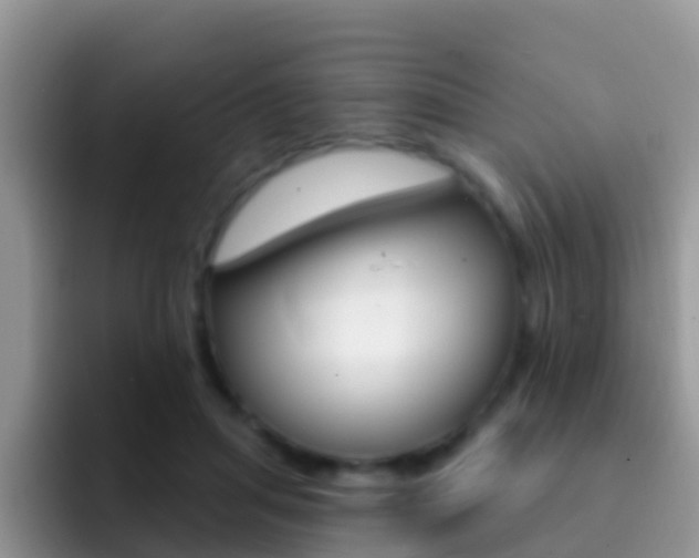 X0000092300455200709141001