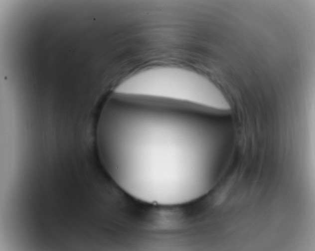 X0000092300466200709141001