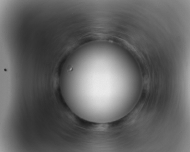 X0000092300474200709141002