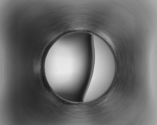 X0000092300483200709141001