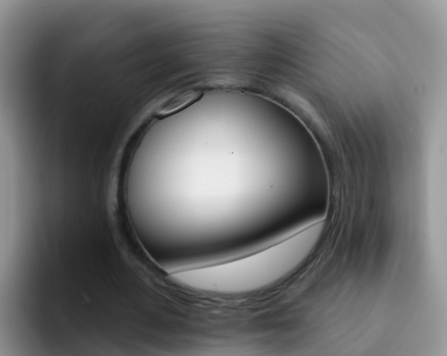 X0000092300484200709141001